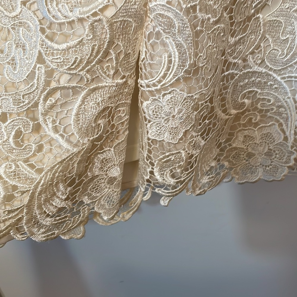 Adrianna Papell Lace Dress Sz 10 “Preowned “ - Picture 5 of 6